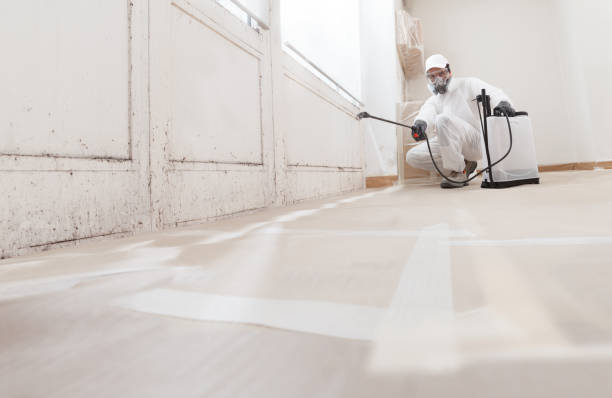 Trusted Crawl Space Mold Removal service in Bedford, VA - WQB Mold Removal